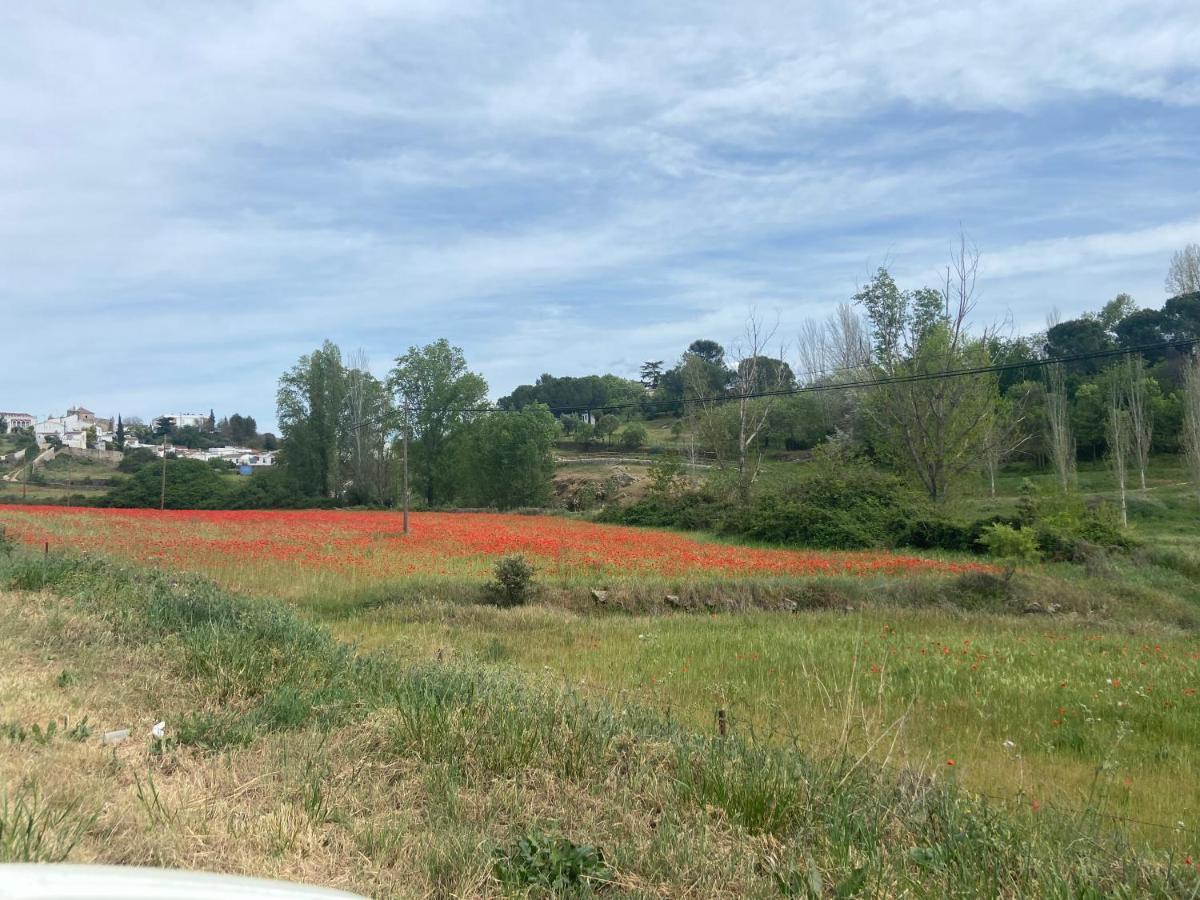 Apartamento Rural Casa Monte Apartment Cazalla de la Sierra Bagian luar foto